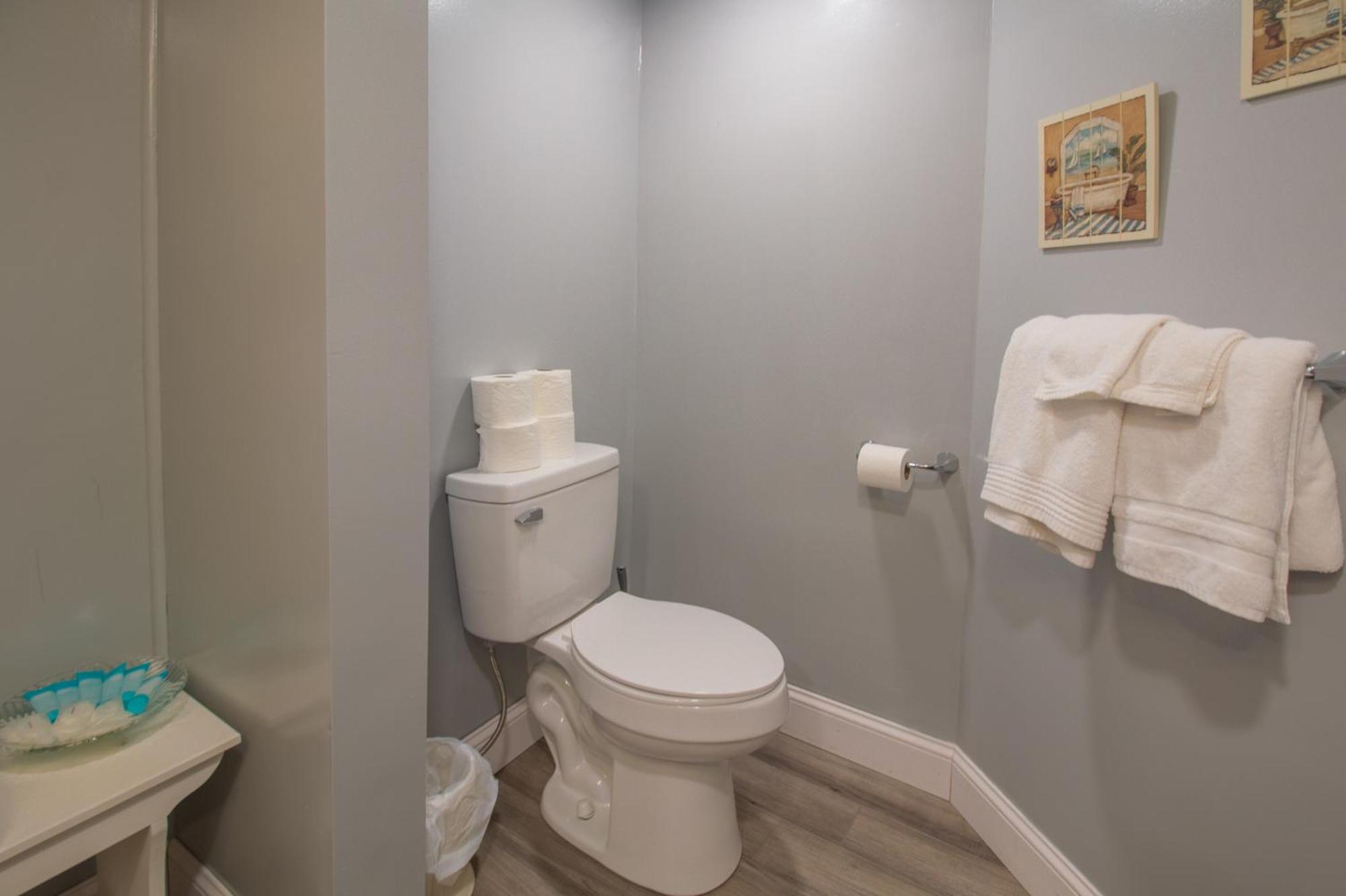 Stay In Ohiopyle In Town By The Gap Trail المظهر الخارجي الصورة