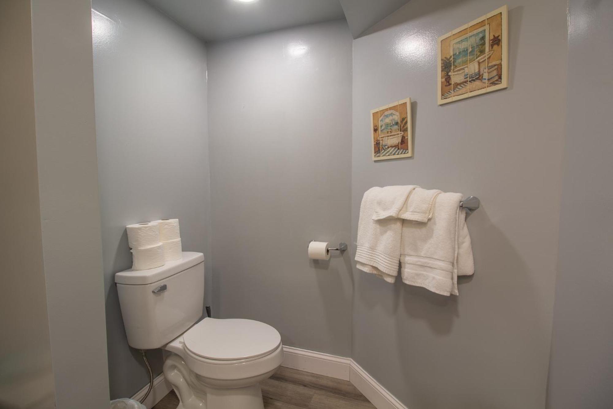Stay In Ohiopyle In Town By The Gap Trail المظهر الخارجي الصورة